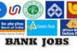 बैंकों में साल की सबसे बड़ी भर्ती,14000 पदों के लिए जुलाई में